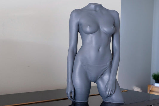Female anatomical study sculpture designed for artists. Precision figure reference model for drawing, painting, and structural study.