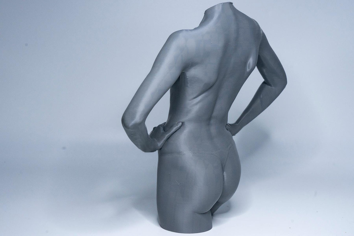 Female anatomy torso model for artists. Studio reference sculpture for studying abdominal structure, posture, and balance.