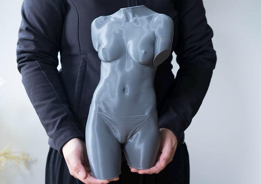 Female Torso – Frontal Anatomy Study ModelFemale anatomy torso model for artists. Studio reference sculpture for studying abdominal structure and balanced proportions.