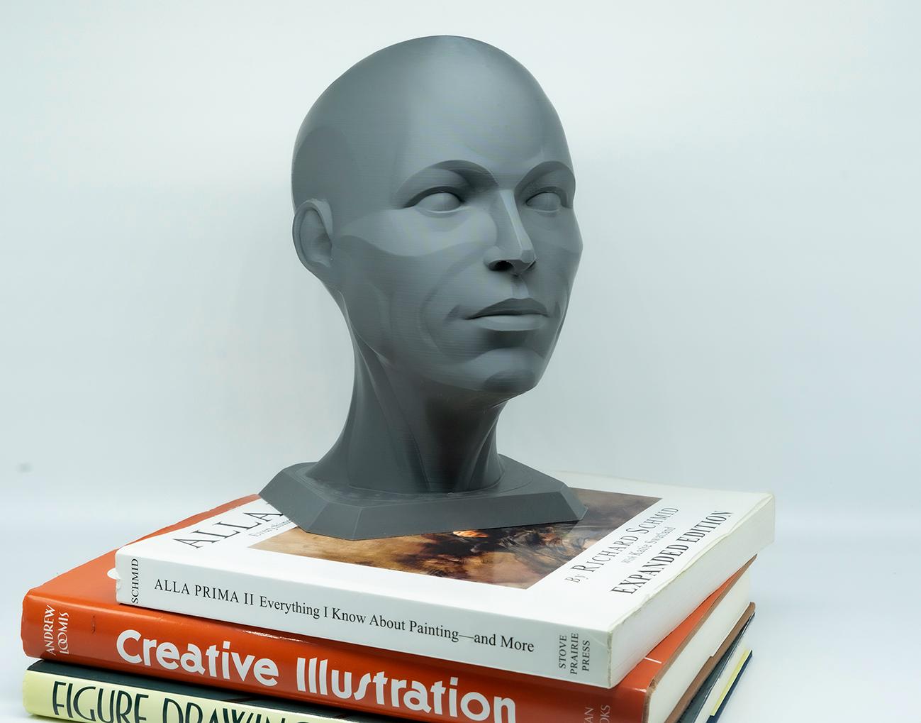 Female planar head sculpture designed for artists. Precision anatomy model for studying facial structure, planes, and value under light.