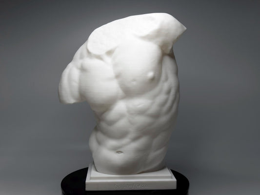 Gaddi Torso art reference model designed for artists studying anatomy, proportion, and light across the male form