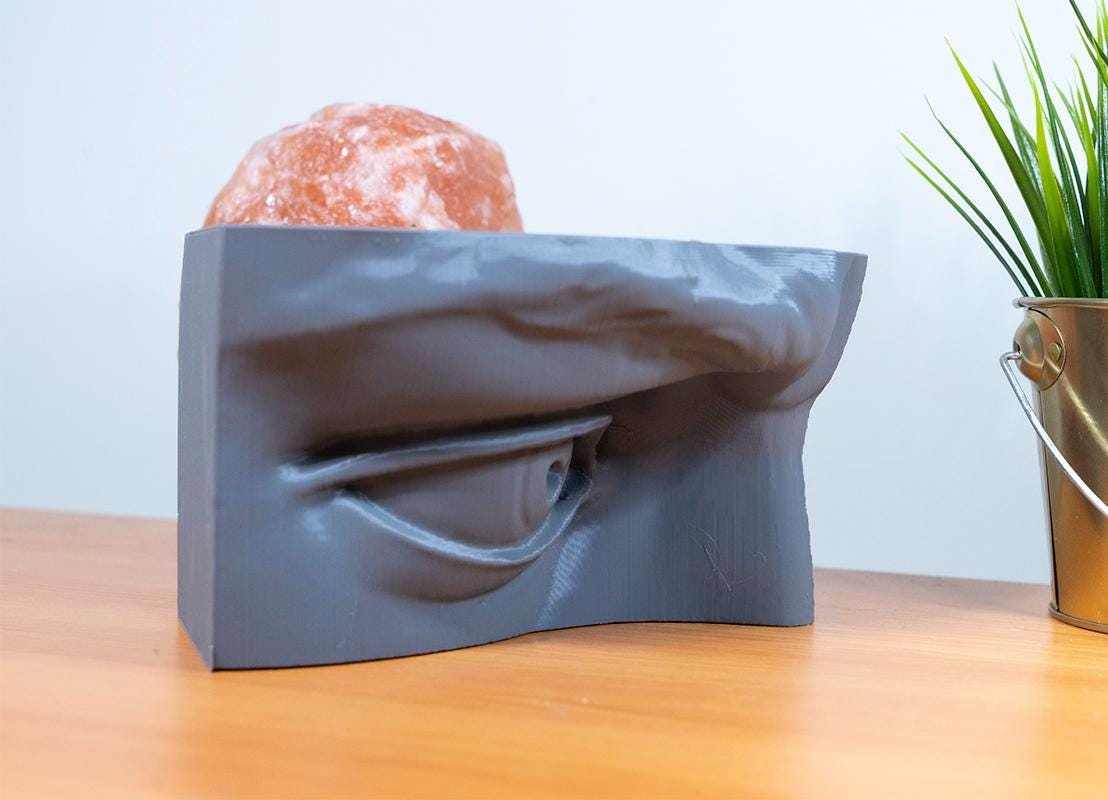 Eye of David anatomy model for artists. Relief sculpture reference for studying eyelid construction, planes, and lighting.