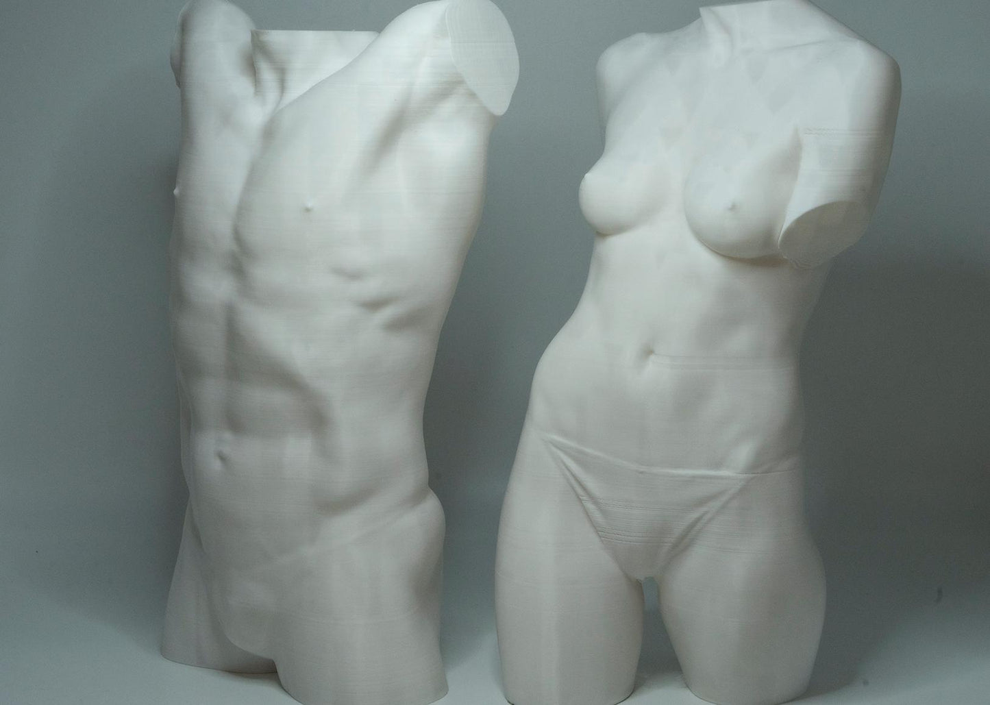 Female Torso – Frontal Anatomy Study ModelFemale anatomy torso model for artists. Studio reference sculpture for studying abdominal structure and balanced proportions.