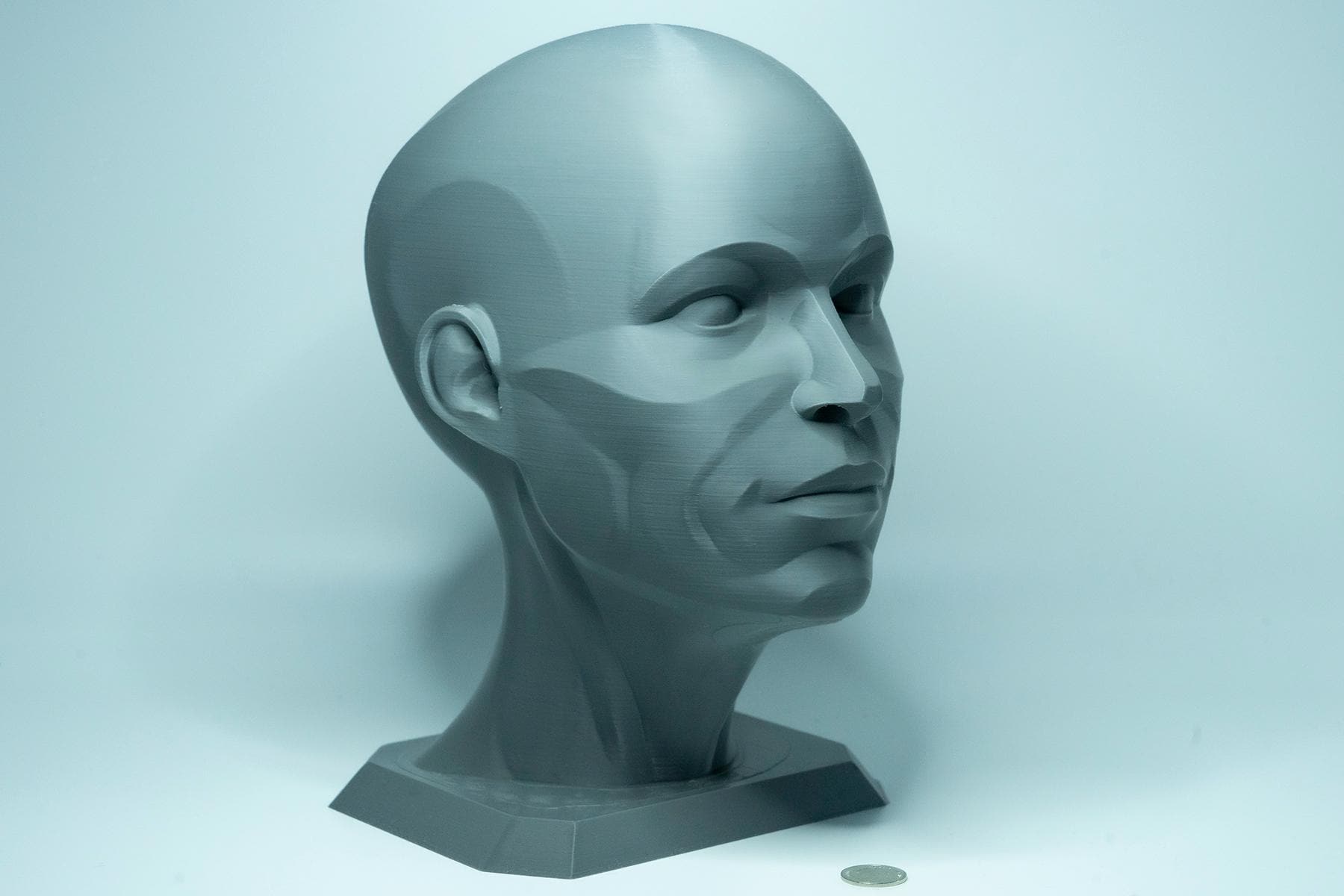 Female planar head sculpture designed for artists. Precision anatomy model for studying facial structure, planes, and value under light.