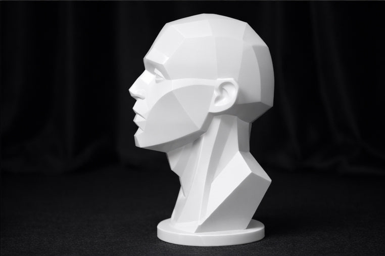 Art Planar head sculpture Mark 2, planes of the face, asaro head, art reference