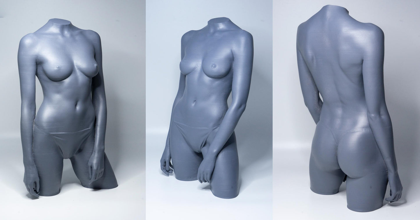 Female anatomical study sculpture designed for artists. Precision figure reference model for drawing, painting, and structural study.