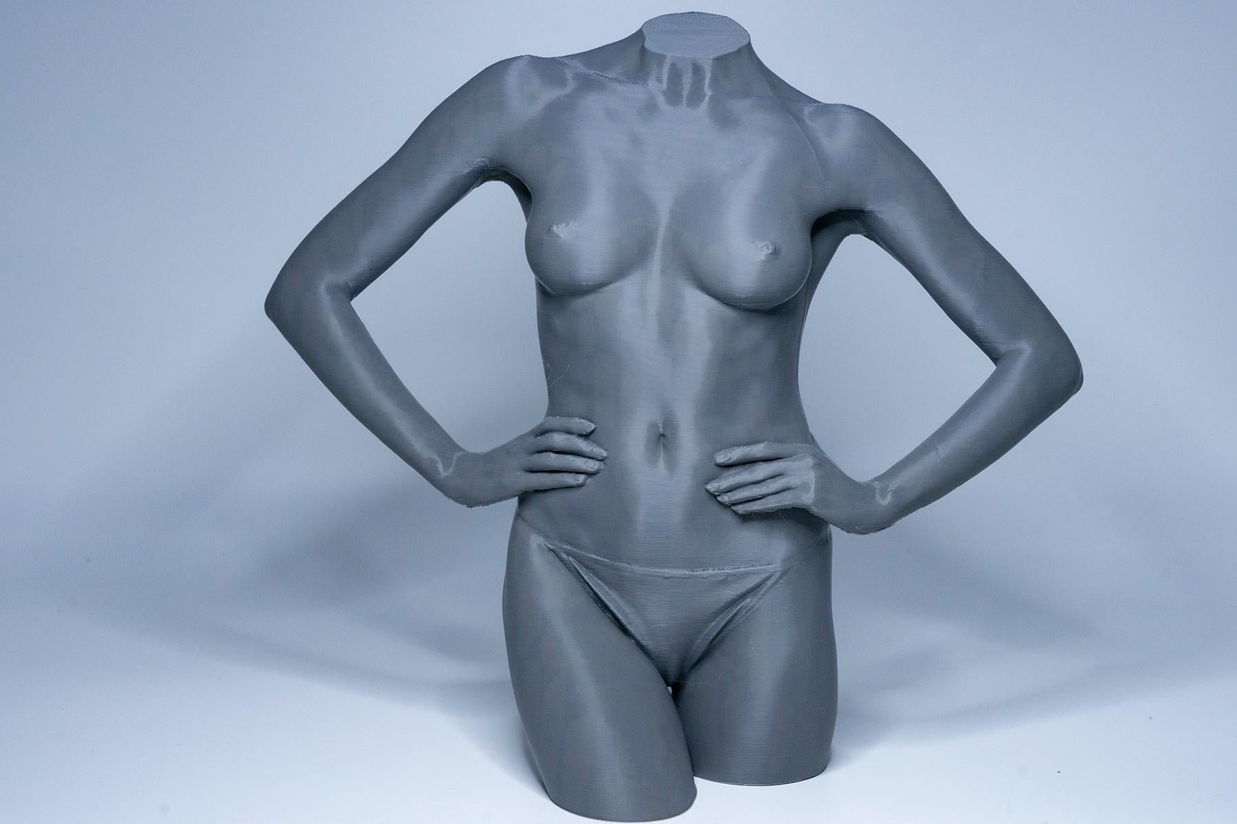 Female anatomy torso model for artists. Studio reference sculpture for studying abdominal structure, posture, and balance.