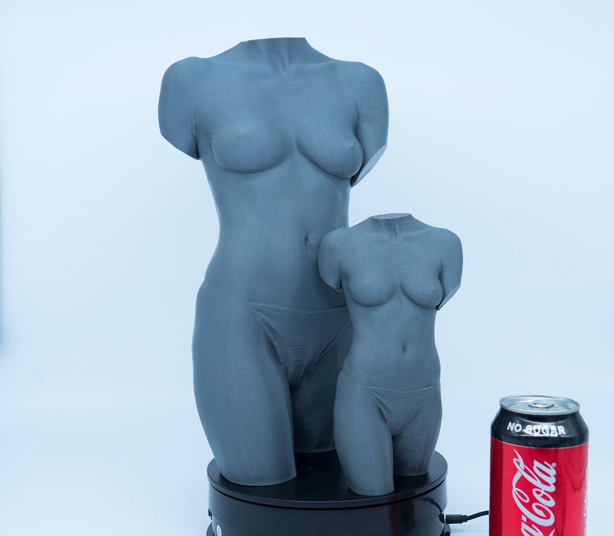 Female Torso – Frontal Anatomy Study ModelFemale anatomy torso model for artists. Studio reference sculpture for studying abdominal structure and balanced proportions.