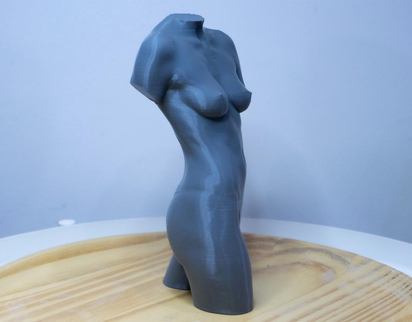 Female Torso – Frontal Anatomy Study ModelFemale anatomy torso model for artists. Studio reference sculpture for studying abdominal structure and balanced proportions.