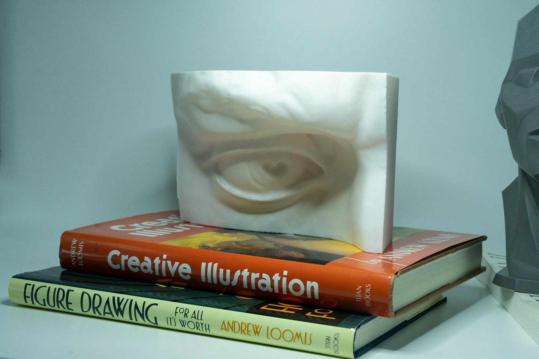 Eye of David anatomy model for artists. Relief sculpture reference for studying eyelid construction, planes, and lighting.