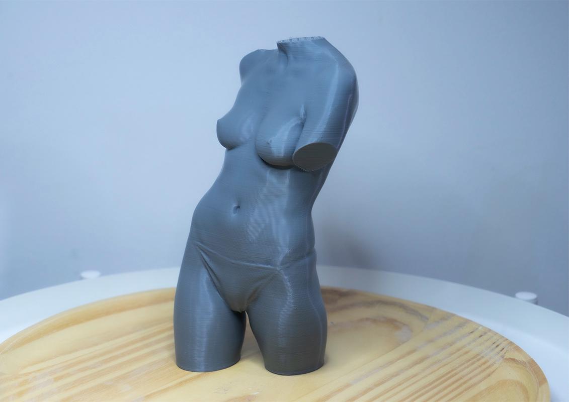 Female Torso – Frontal Anatomy Study ModelFemale anatomy torso model for artists. Studio reference sculpture for studying abdominal structure and balanced proportions.