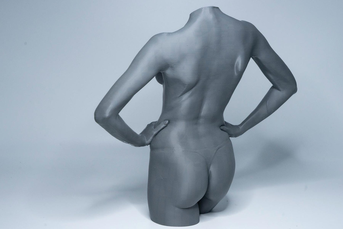Female anatomy torso model for artists. Studio reference sculpture for studying abdominal structure, posture, and balance.