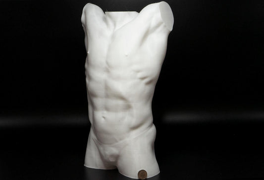 Male torso anatomy sculpture with raised arm for artists. Figure drawing reference model for studying ribcage stretch and muscular structure.