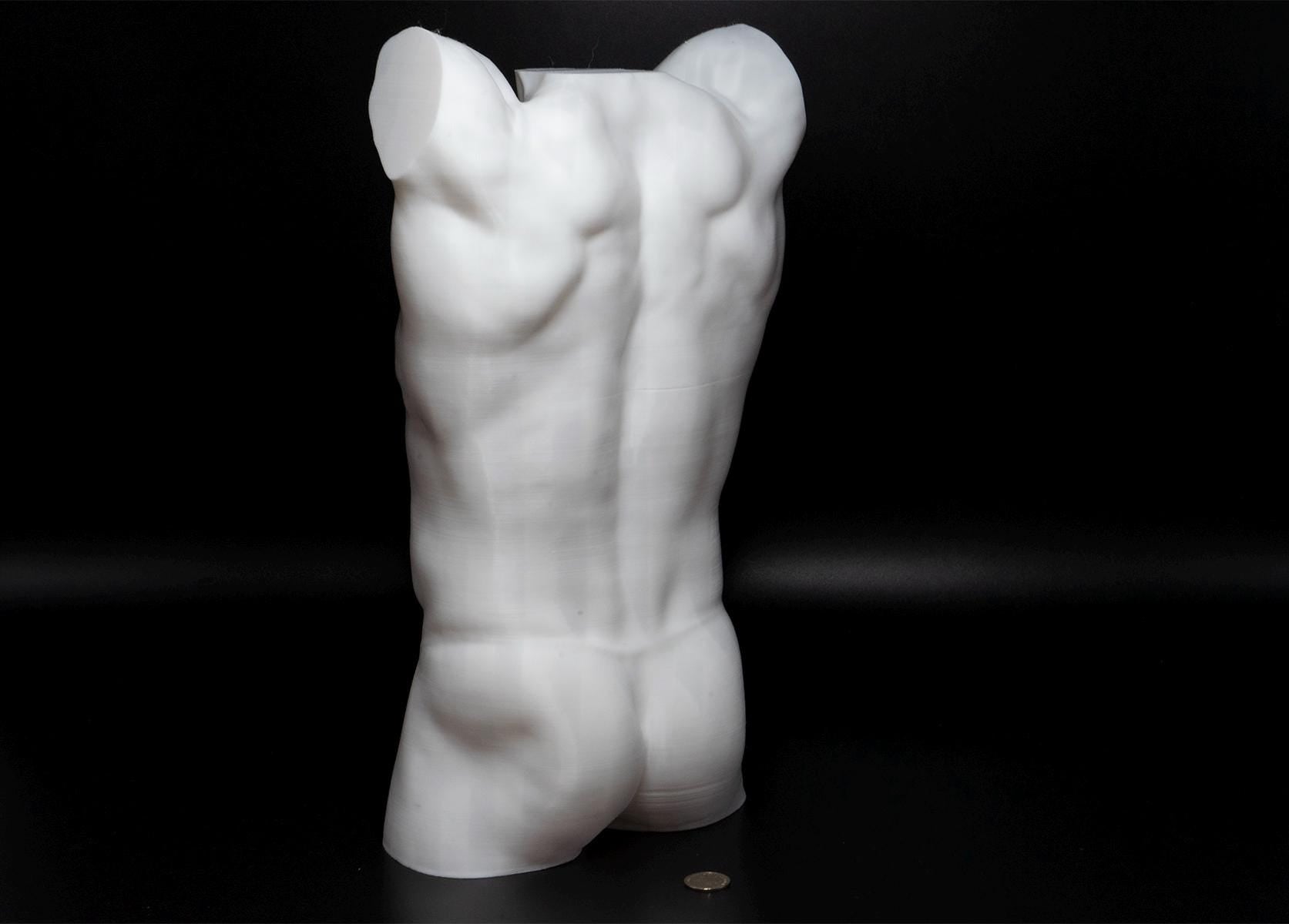 Male torso anatomy sculpture with raised arm for artists. Figure drawing reference model for studying ribcage stretch and muscular structure.