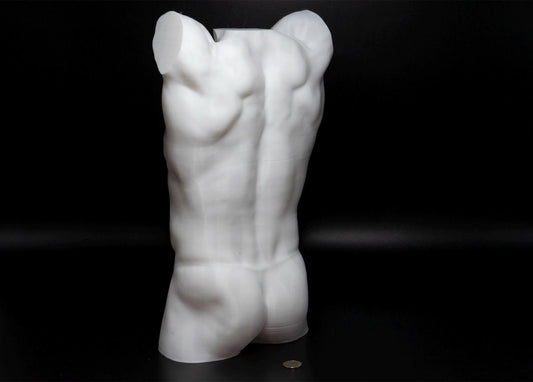 Male torso anatomy sculpture with raised arm for artists. Figure drawing reference model for studying ribcage stretch and muscular structure.