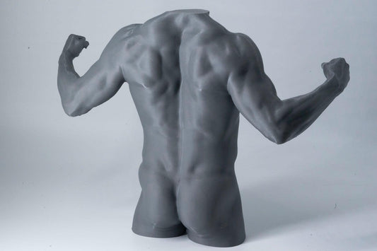 Gray muscular mannequin torso on a white background