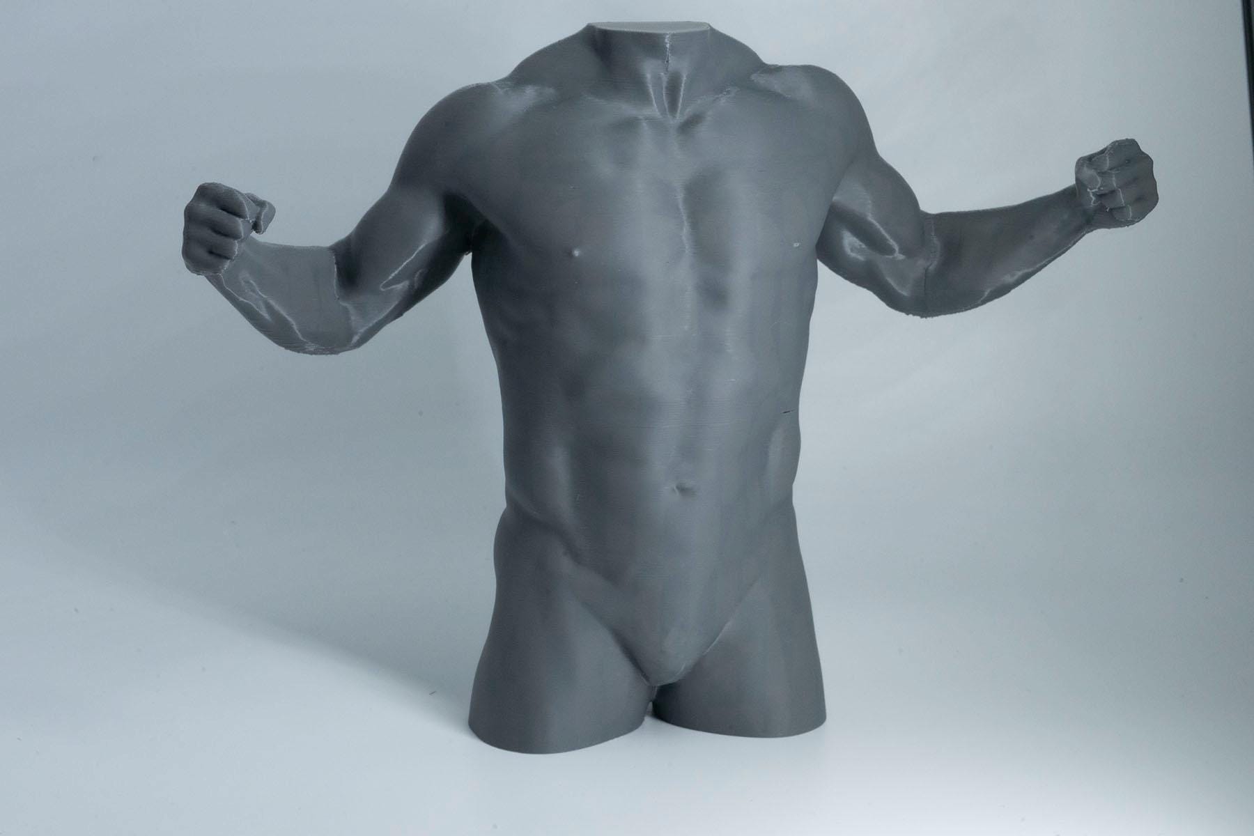 Male Torso Sculpture – Back Anatomy Reference Model – 3D Printed Muscle Study Statue – Art Studio Decor Gift for Artists