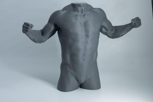 Male Torso Sculpture – Back Anatomy Reference Model – 3D Printed Muscle Study Statue – Art Studio Decor Gift for Artists
