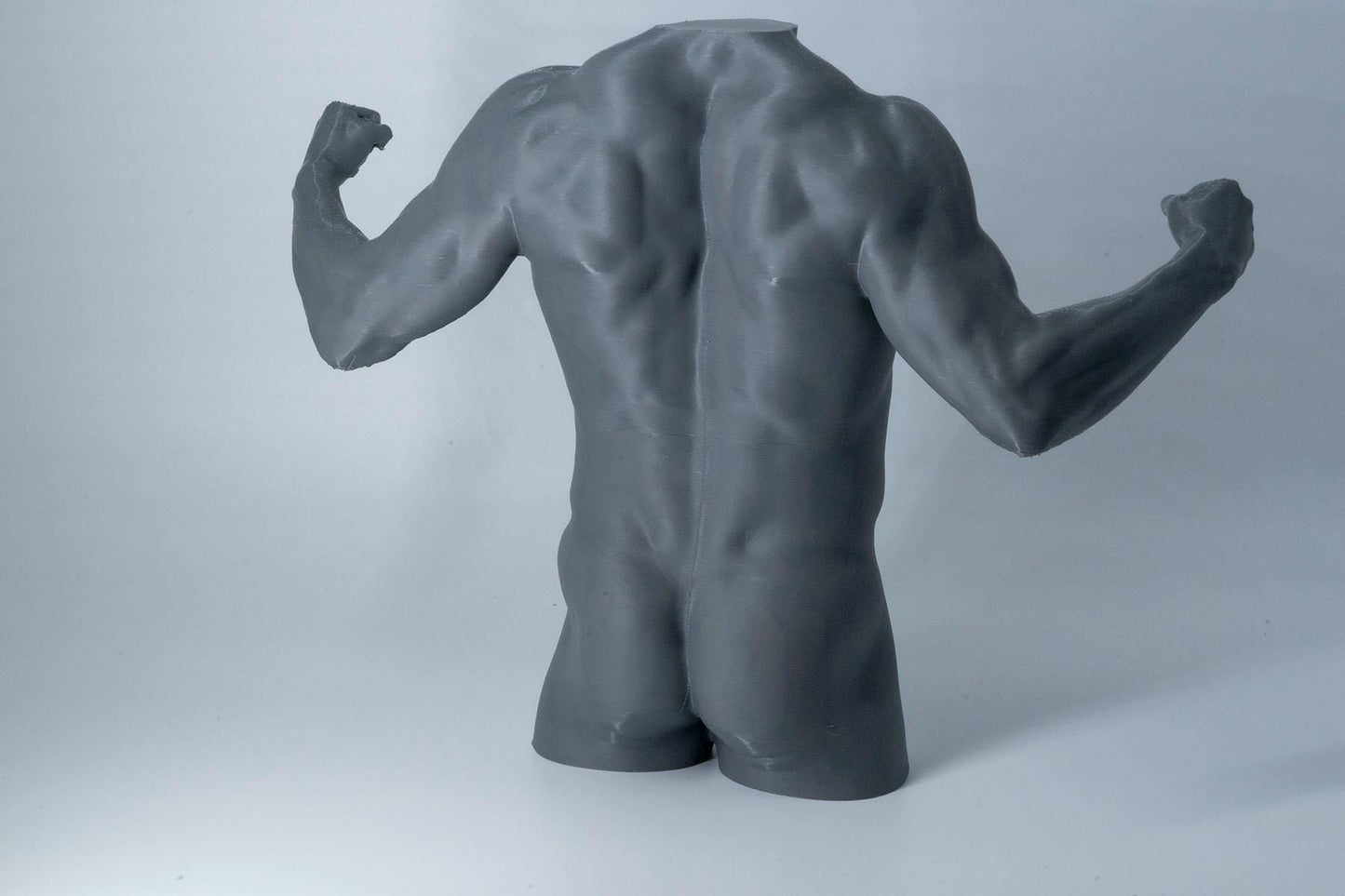 Male Torso Sculpture – Back Anatomy Reference Model – 3D Printed Muscle Study Statue – Art Studio Decor Gift for Artists