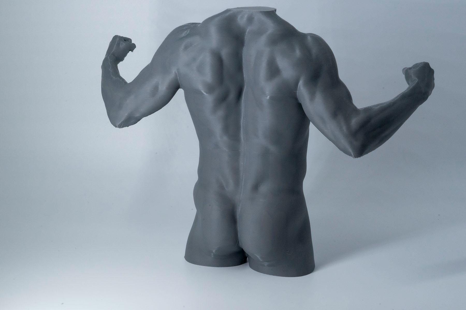 Male Torso Sculpture – Back Anatomy Reference Model – 3D Printed Muscle Study Statue – Art Studio Decor Gift for Artists