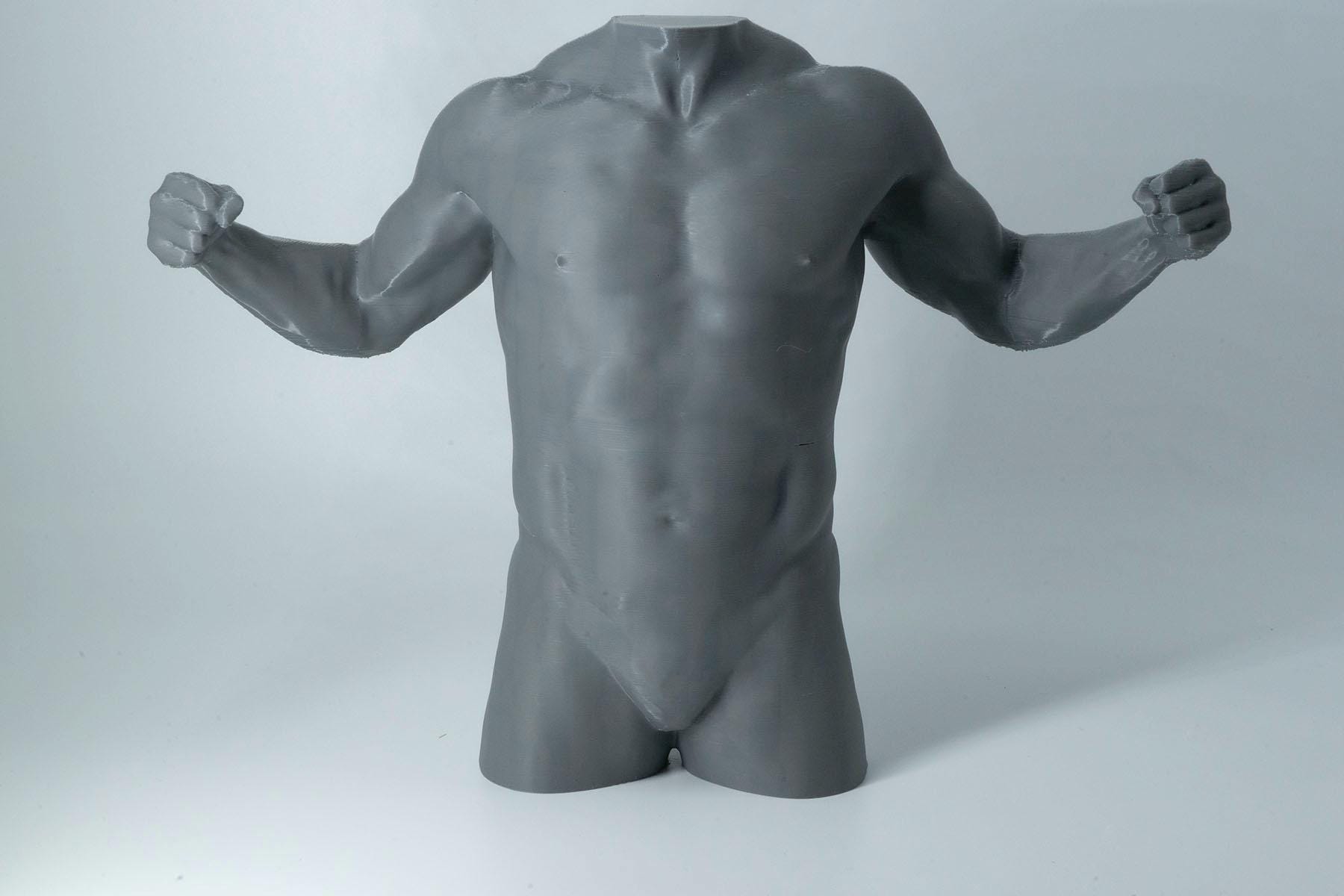 Male torso sculpture for artists. Detailed back anatomy reference model, 3D printed in PLA+. Perfect for figure drawing study or modern studio décor.