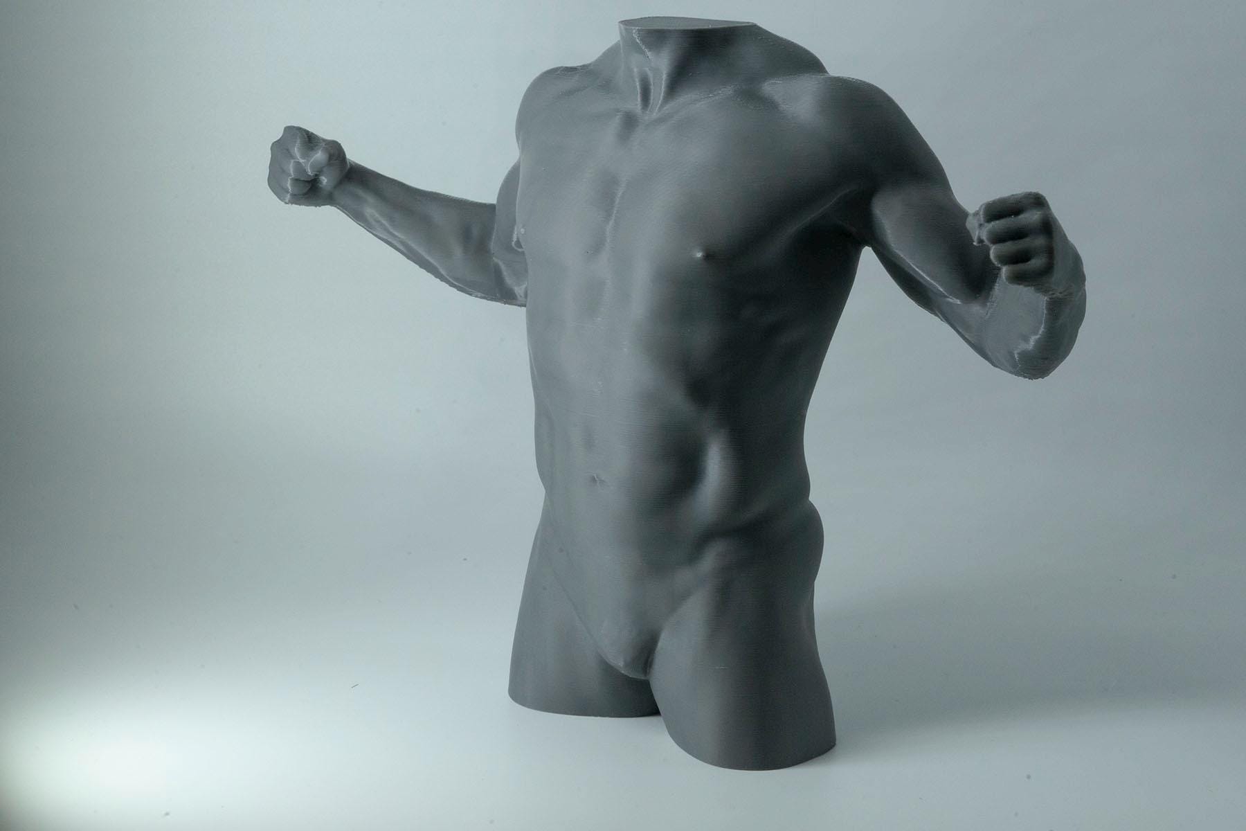 Male torso sculpture for artists. Detailed back anatomy reference model, 3D printed in PLA+. Perfect for figure drawing study or modern studio décor.