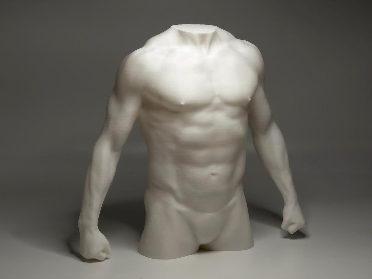 Male torso anatomy sculpture for artists. Figure drawing reference model for studying chest, abdominal structure, and proportion.
