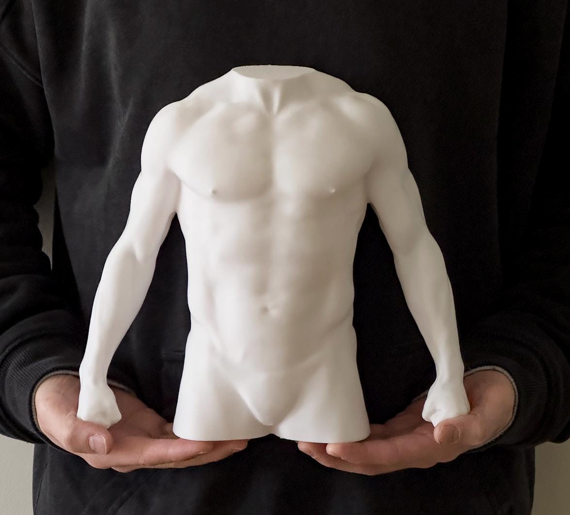Male torso anatomy sculpture for artists. Figure drawing reference model for studying chest, abdominal structure, and proportion.