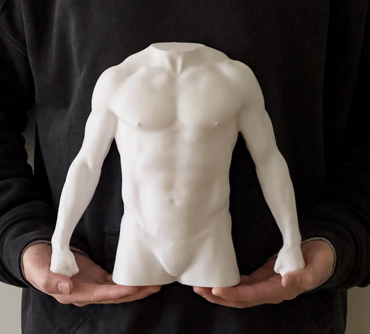 Male torso anatomy sculpture for artists. Figure drawing reference model for studying chest, abdominal structure, and proportion.