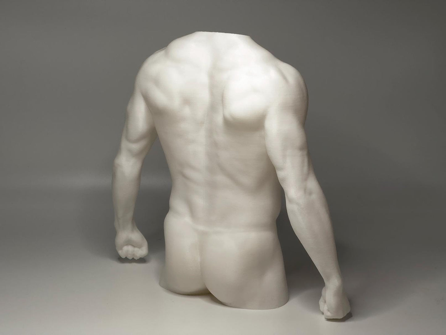 Male torso anatomy sculpture for artists. Figure drawing reference model for studying chest, abdominal structure, and proportion.