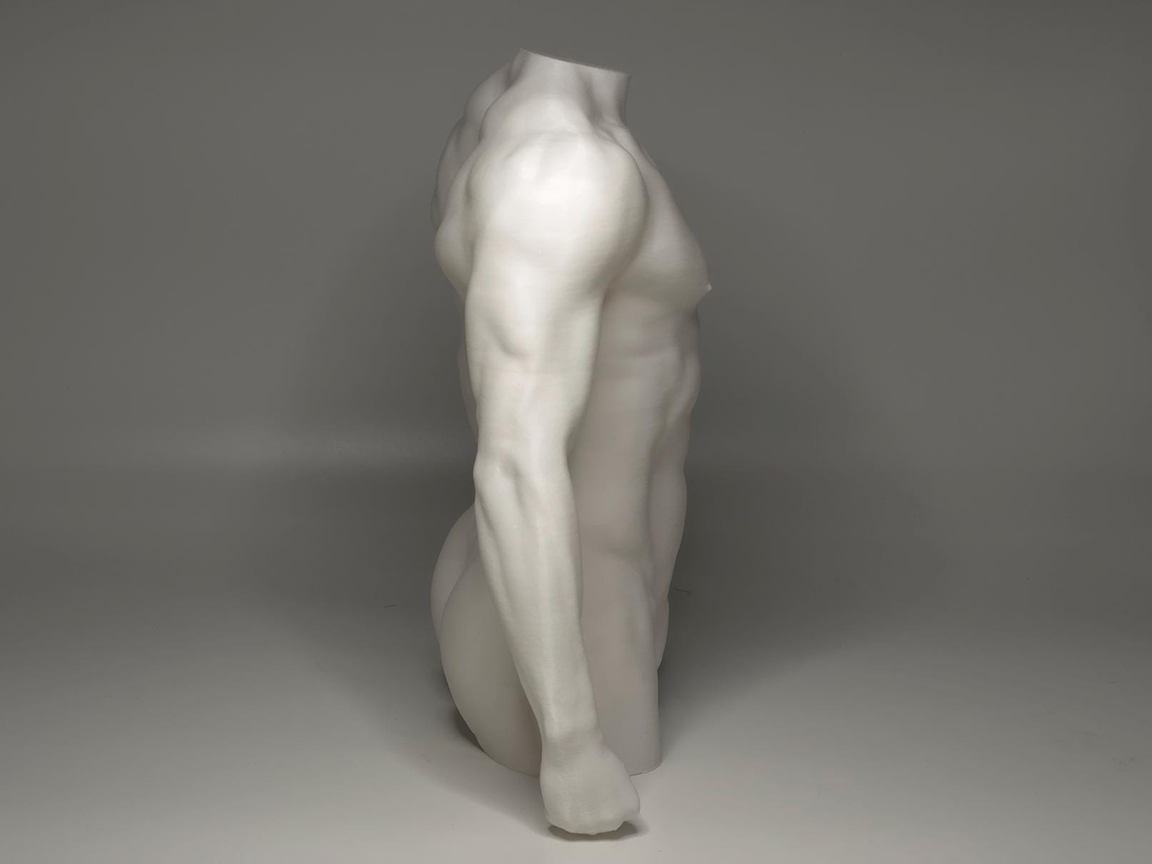 Male torso anatomy sculpture for artists. Figure drawing reference model for studying chest, abdominal structure, and proportion.