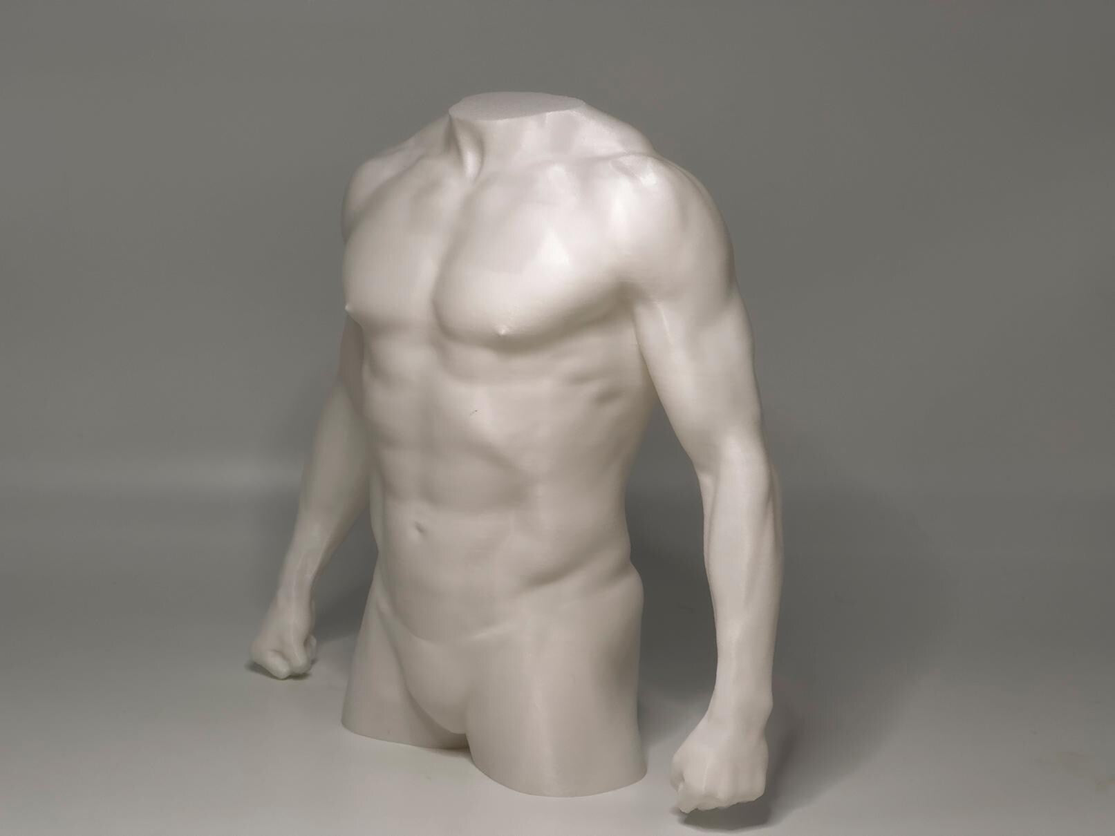 Male torso anatomy sculpture for artists. Figure drawing reference model for studying chest, abdominal structure, and proportion.