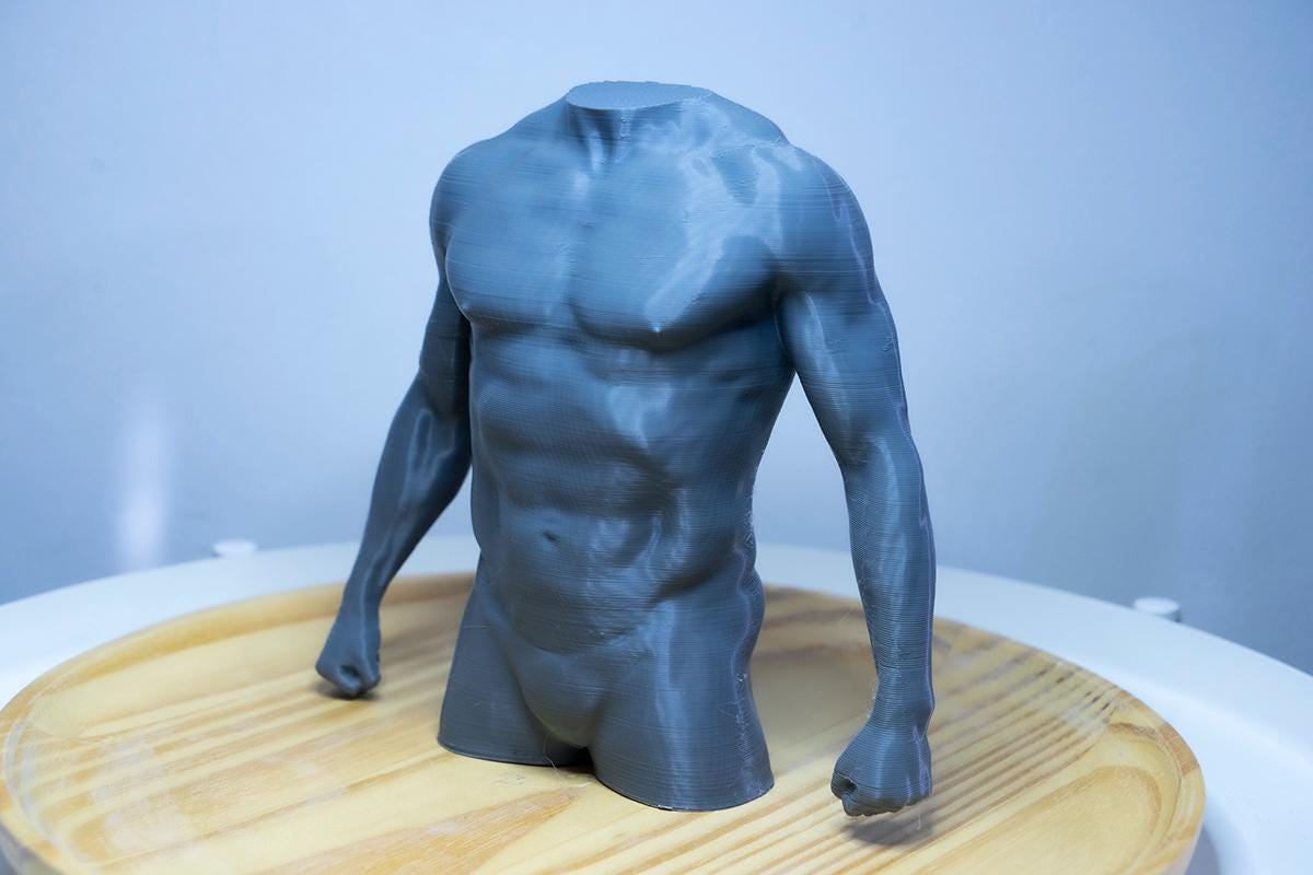 Male torso anatomy sculpture for artists. Figure drawing reference model for studying chest, abdominal structure, and proportion.