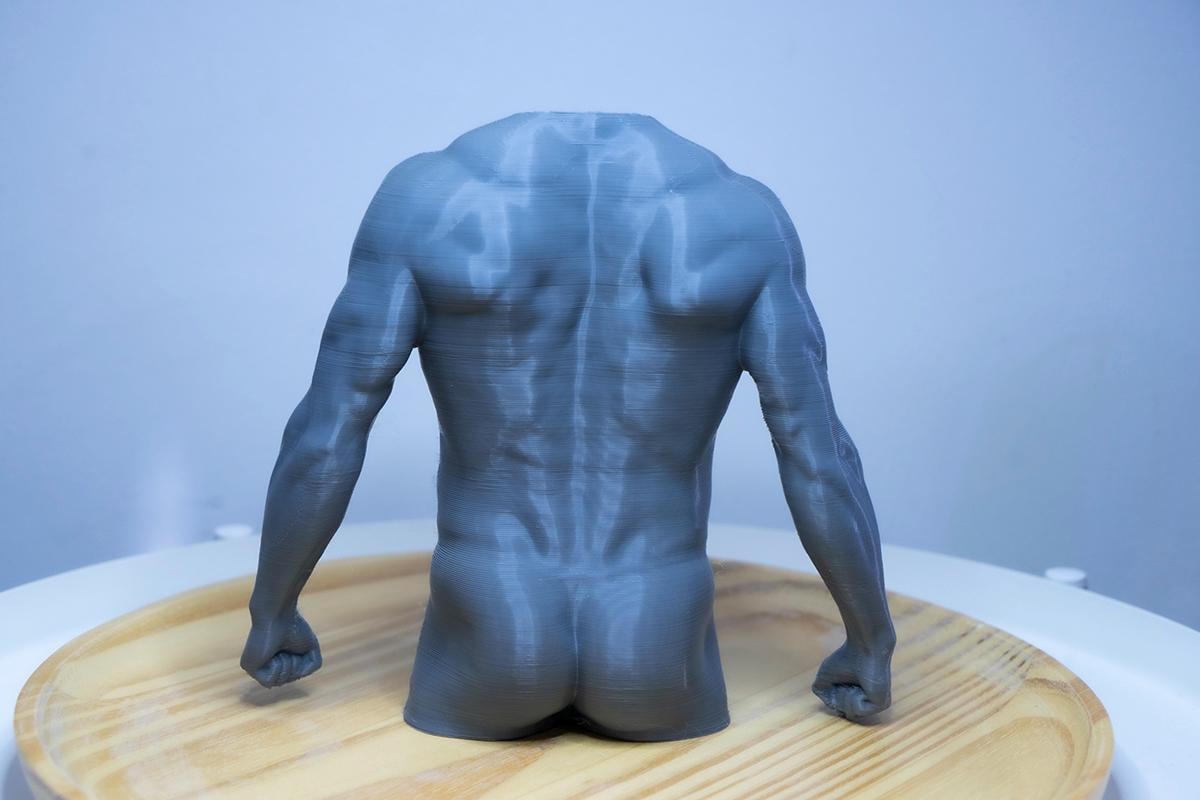 Male torso anatomy sculpture for artists. Figure drawing reference model for studying chest, abdominal structure, and proportion.