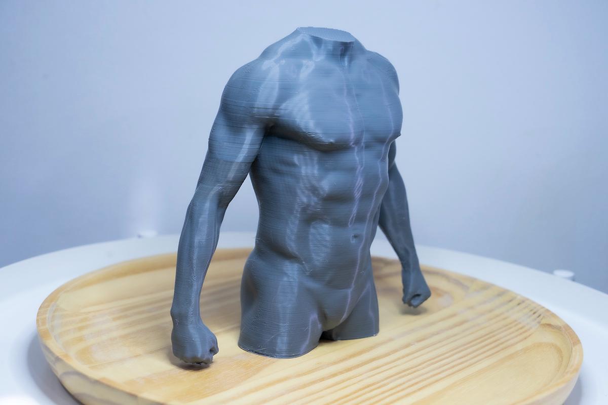Male torso anatomy sculpture for artists. Figure drawing reference model for studying chest, abdominal structure, and proportion.