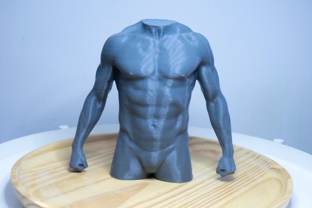 Male torso anatomy sculpture for artists. Figure drawing reference model for studying chest, abdominal structure, and proportion.