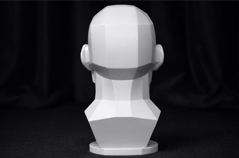 Art Planar head sculpture Mark 2, planes of the face, asaro head, art reference