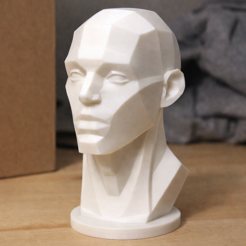 Art Planar head sculpture Mark 2, planes of the face, asaro head, art reference