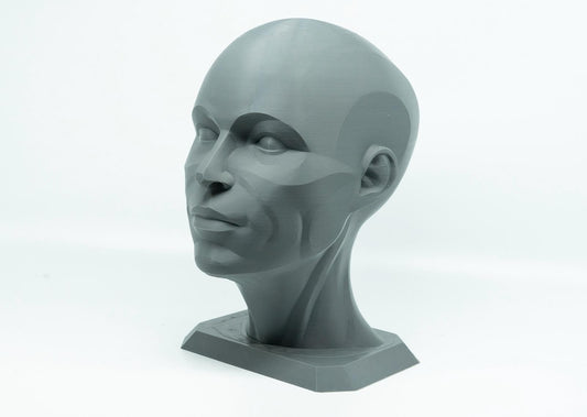 Female planar head sculpture designed for artists. Precision anatomy model for studying facial structure, planes, and value under light.