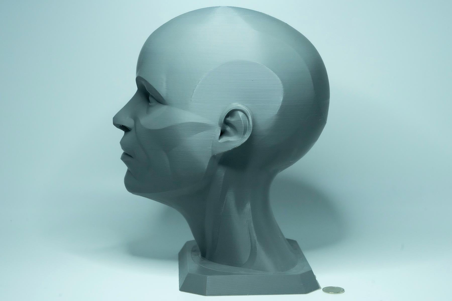 Female planar head sculpture designed for artists. Precision anatomy model for studying facial structure, planes, and value under light.