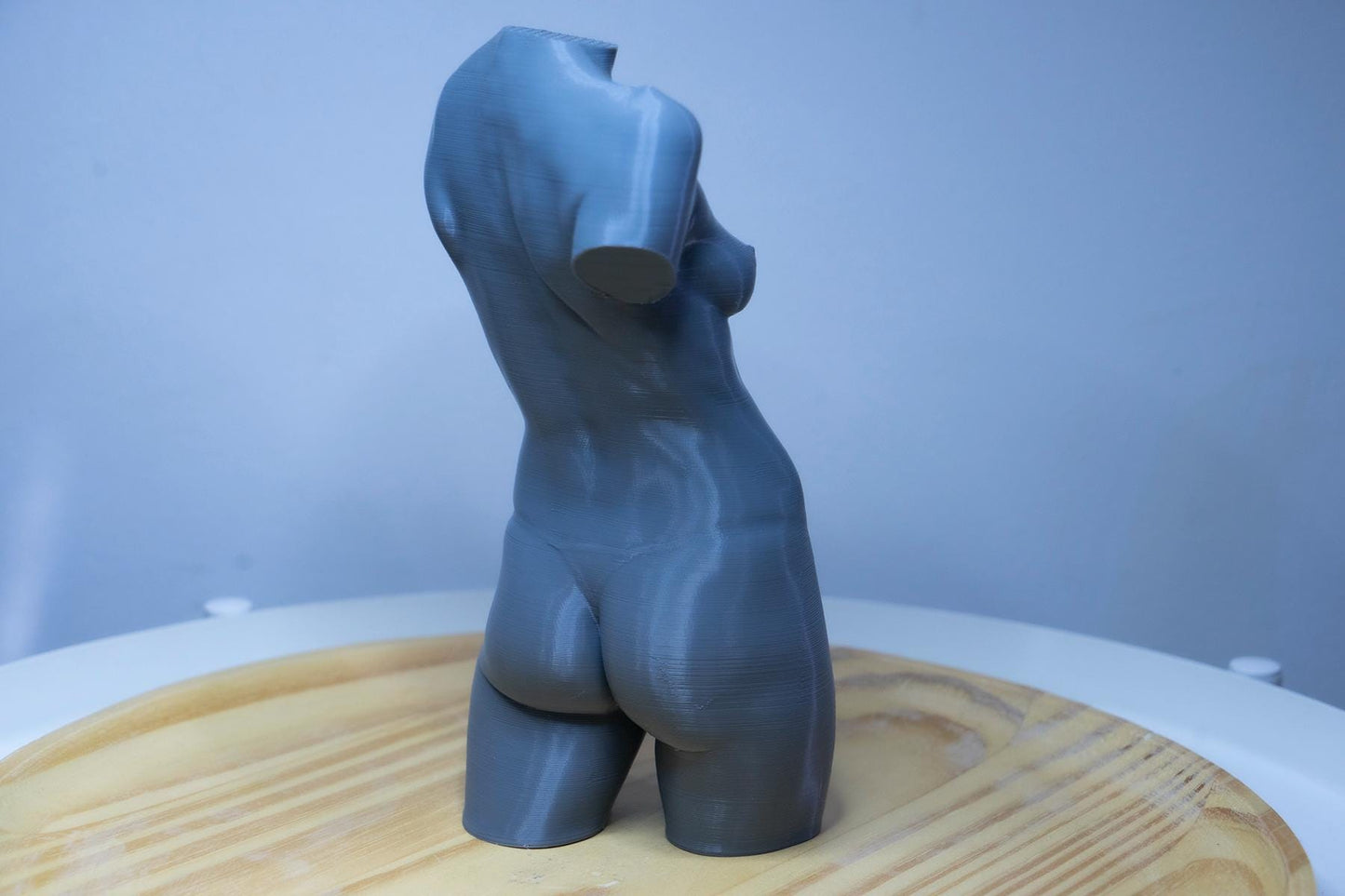 Female Torso – Frontal Anatomy Study ModelFemale anatomy torso model for artists. Studio reference sculpture for studying abdominal structure and balanced proportions.