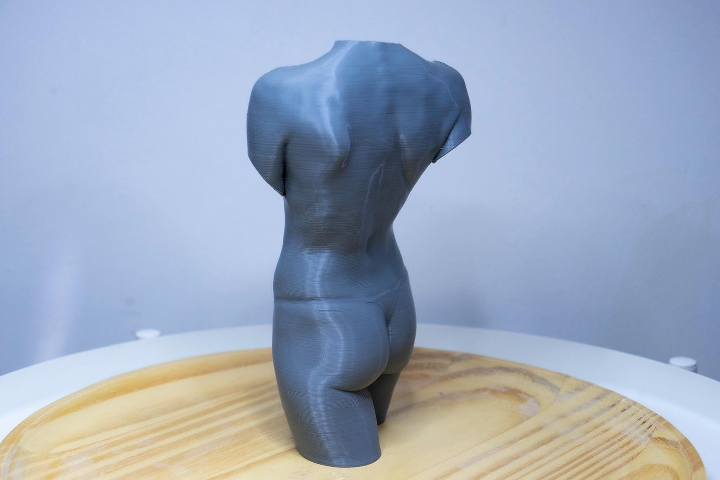 Female Torso – Frontal Anatomy Study ModelFemale anatomy torso model for artists. Studio reference sculpture for studying abdominal structure and balanced proportions.