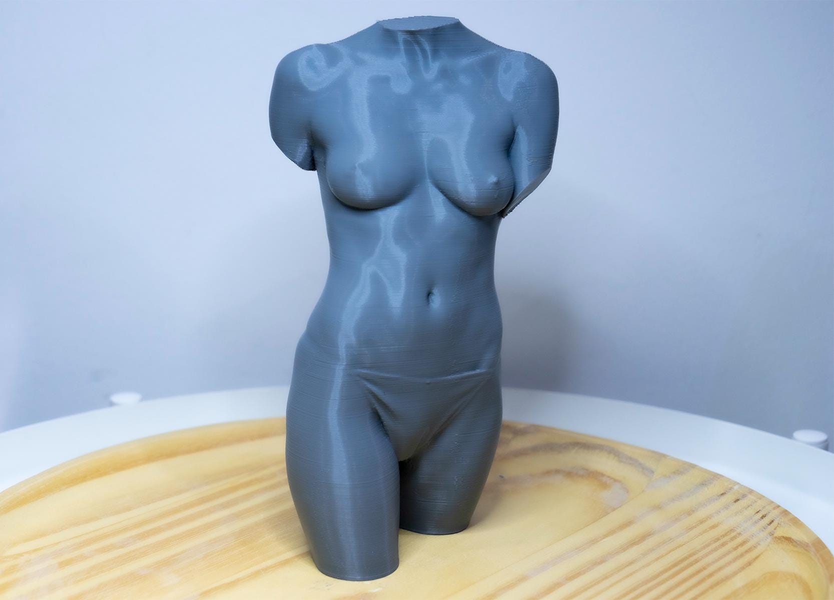 Female Torso – Frontal Anatomy Study ModelFemale anatomy torso model for artists. Studio reference sculpture for studying abdominal structure and balanced proportions.