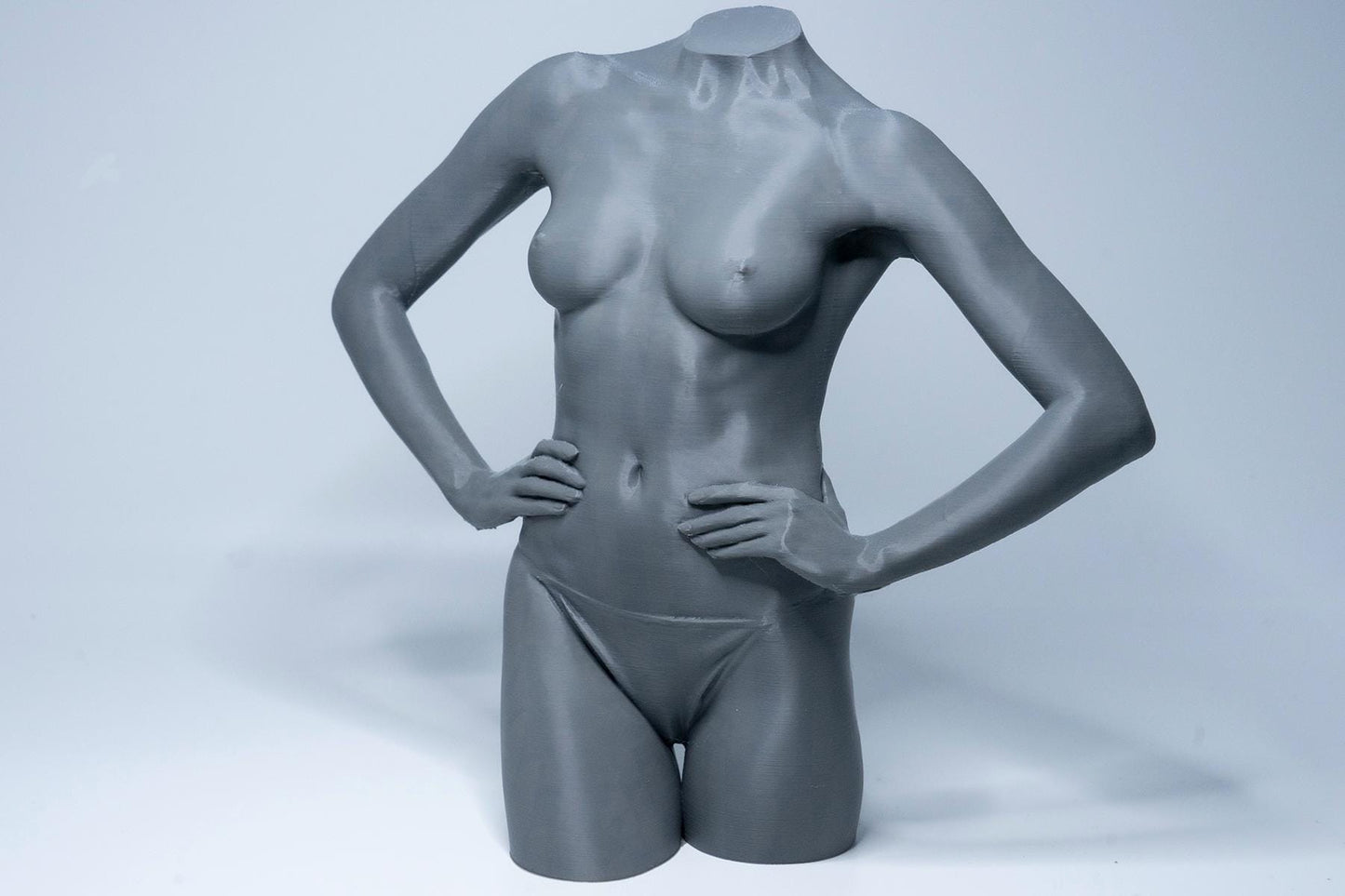 Female anatomy torso model for artists. Studio reference sculpture for studying abdominal structure, posture, and balance.