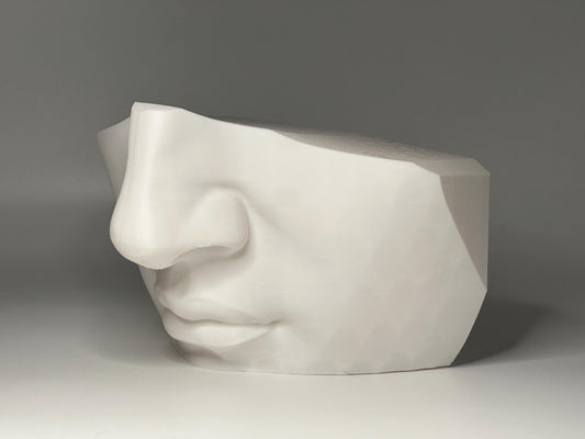 Nose & Mouth Study Relief – Inspired by Michelangelo’s Renaissance-inspired nose and mouth sculpture reference for artists. Wall-hangable anatomy model for studying facial construction and form.David