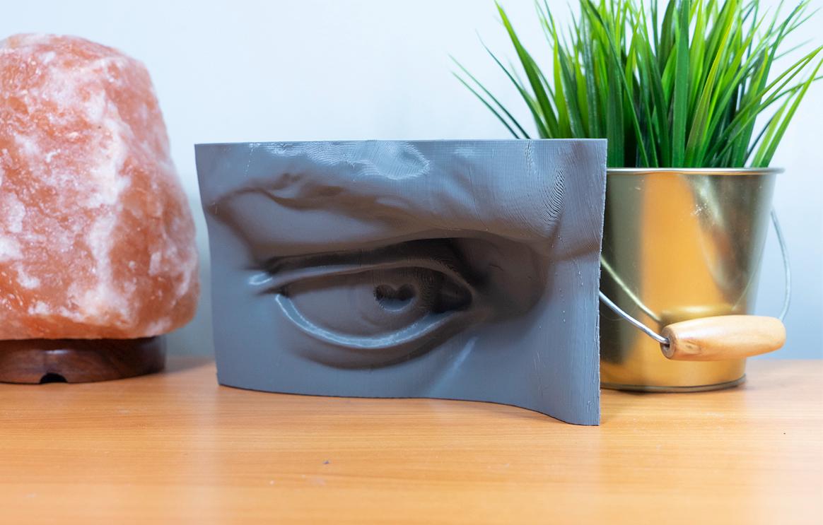 Eye of David anatomy model for artists. Relief sculpture reference for studying eyelid construction, planes, and lighting.